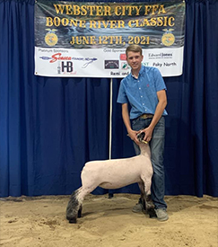ET Livestock Winners