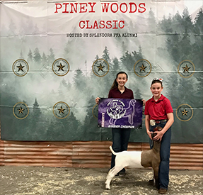 ET Livestock Winners