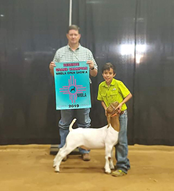 ET Livestock Winners