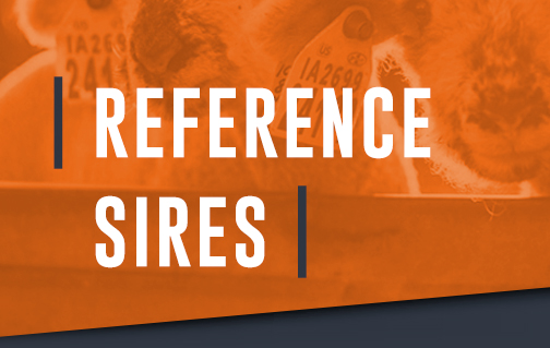 Reference Sires