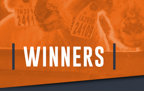 Winners