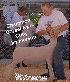 Winners