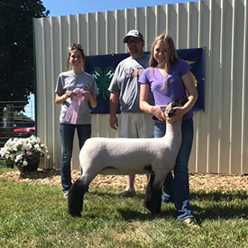 ET Club Lambs Winners