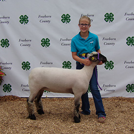 ET Club Lambs Winners