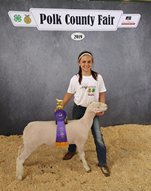 ET Club Lambs Winners