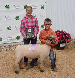 ET Club Lambs Winners
